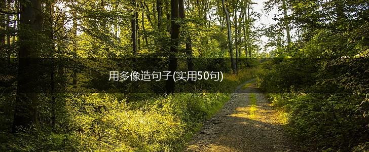 用多像造句子(实用50句),第1张