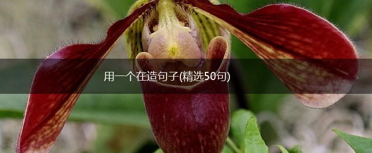 用一个在造句子(精选50句),第1张