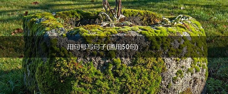 用句号写句子(通用50句),第1张