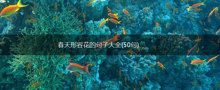 春天形容花的句子大全(50句),第1张
