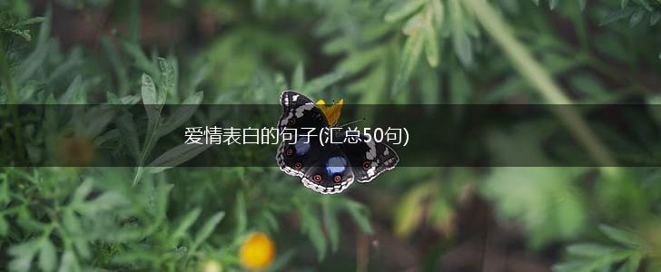 爱情表白的句子(汇总50句),第1张