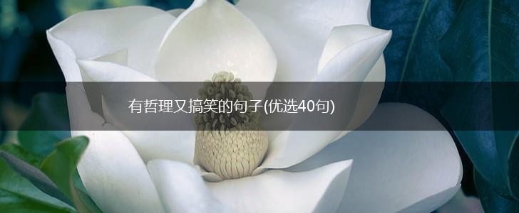 有哲理又搞笑的句子(优选40句),第1张