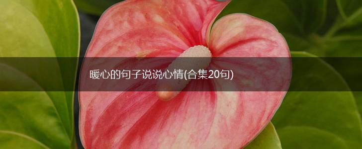 暖心的句子说说心情(合集20句),第1张