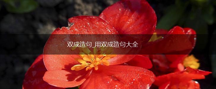 双成造句_用双成造句大全,第1张