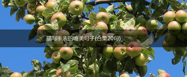 描写手表的唯美句子(合集20句),第1张