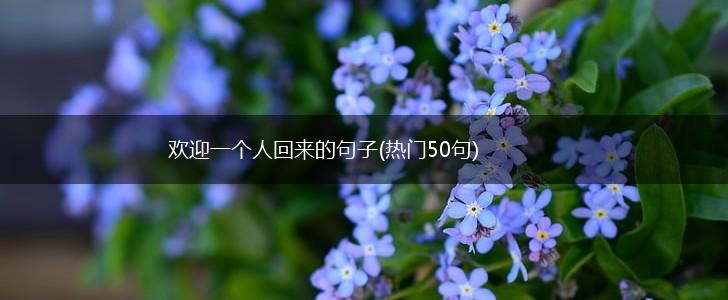 欢迎一个人回来的句子(热门50句),第1张