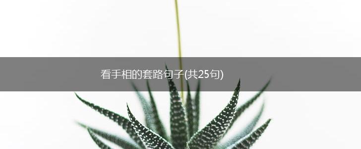 看手相的套路句子(共25句),第1张