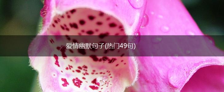 爱情幽默句子(热门49句),第1张