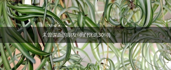 未曾谋面的朋友句子(优选30句),第1张