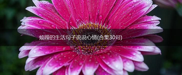 烦躁的生活句子说说心情(合集30句),第1张