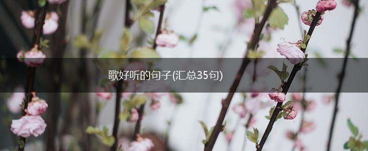 歌好听的句子(汇总35句),第1张