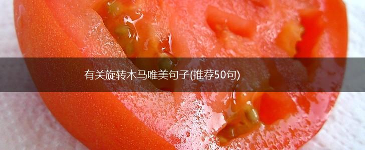 有关旋转木马唯美句子(推荐50句),第1张