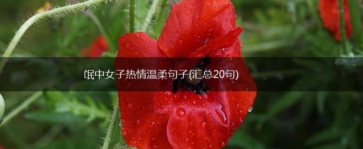 氓中女子热情温柔句子(汇总20句),第1张