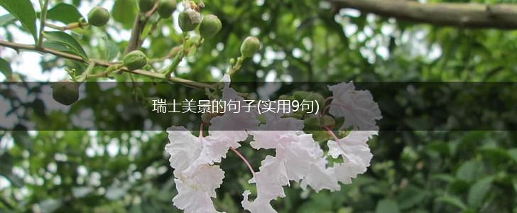 瑞士美景的句子(实用9句),第1张