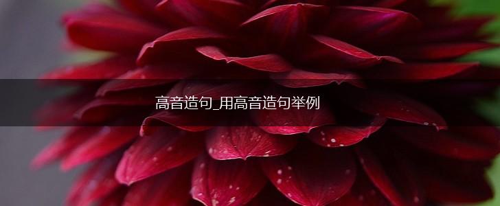 高音造句_用高音造句举例,第1张