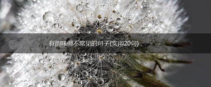 有韵味但不常见的句子(实用20句),第1张