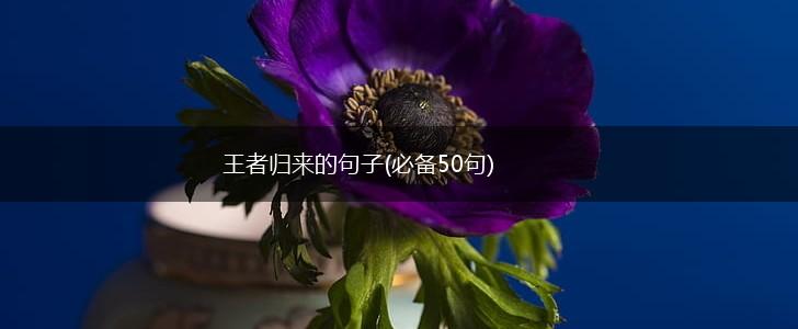 王者归来的句子(必备50句),第1张
