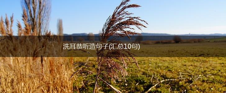 洗耳恭听造句子(汇总10句),第1张