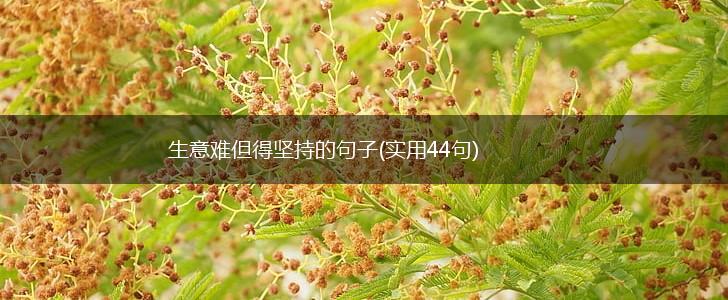 生意难但得坚持的句子(实用44句),第1张