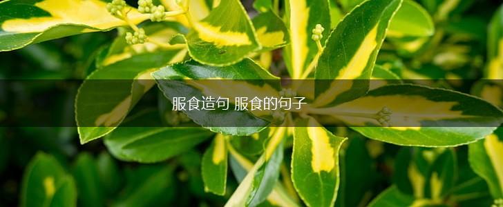 服食造句 服食的句子,第1张 服食造句 服食的句子,第1张