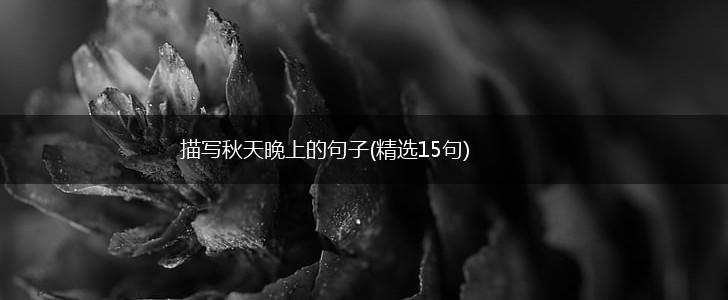 描写秋天晚上的句子(精选15句),第1张