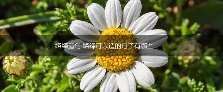络绎造句 络绎可以造的句子有哪些,第1张