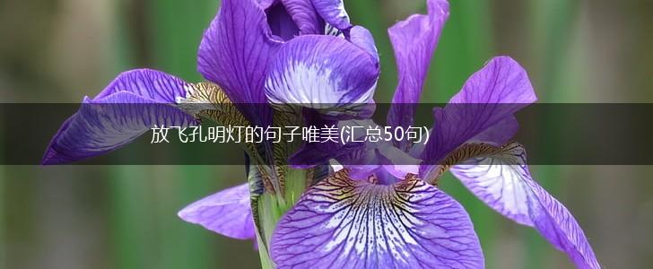 放飞孔明灯的句子唯美(汇总50句),第1张