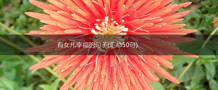 有女儿幸福的句子(汇总50句),第1张