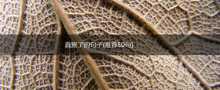 真累了的句子(推荐50句),第1张