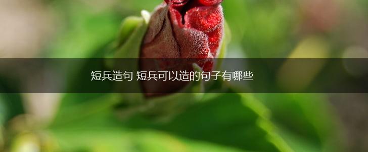 短兵造句 短兵可以造的句子有哪些,第1张 短兵造句 短兵可以造的句子有哪些,第1张