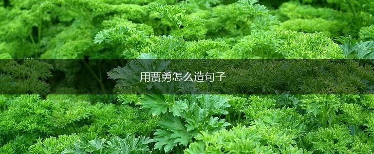 用贾勇怎么造句子,第1张