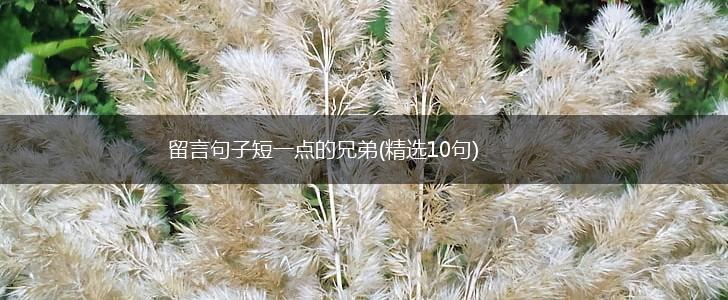 留言句子短一点的兄弟(精选10句),第1张
