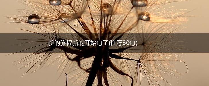 新的旅程新的开始句子(推荐30句),第1张
