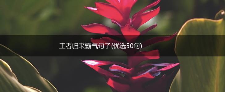 王者归来霸气句子(优选50句),第1张