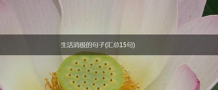生活消极的句子(汇总15句),第1张