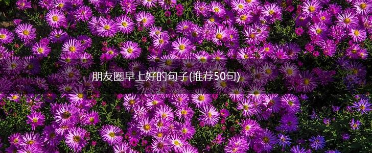 朋友圈早上好的句子(推荐50句),第1张