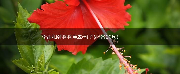 李雷和韩梅梅电影句子(必备20句),第1张