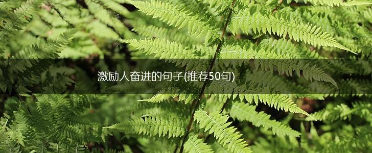 激励人奋进的句子(推荐50句),第1张