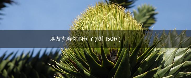 朋友抛弃你的句子(热门50句),第1张