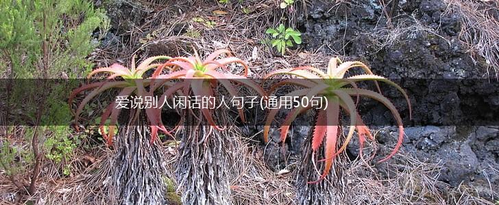 爱说别人闲话的人句子(通用50句),第1张