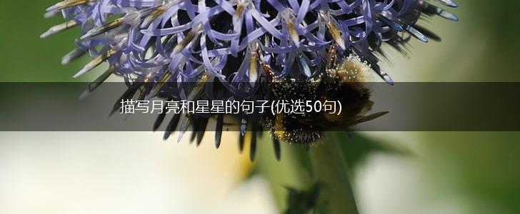 描写月亮和星星的句子(优选50句),第1张