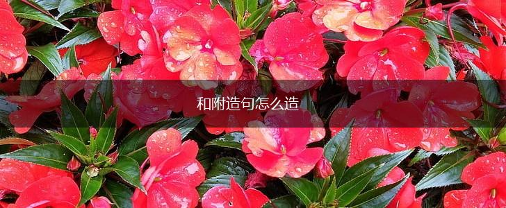和附造句怎么造,第1张