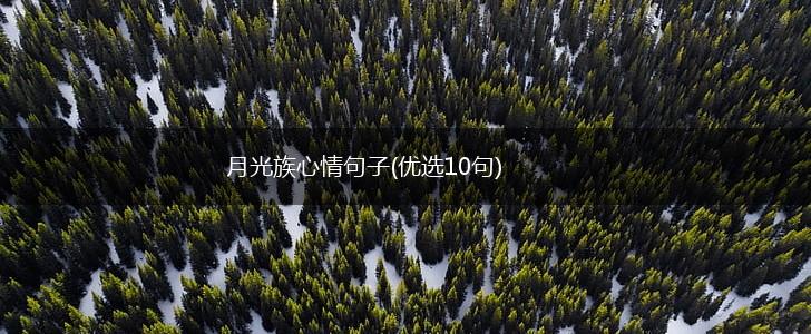 月光族心情句子(优选10句),第1张