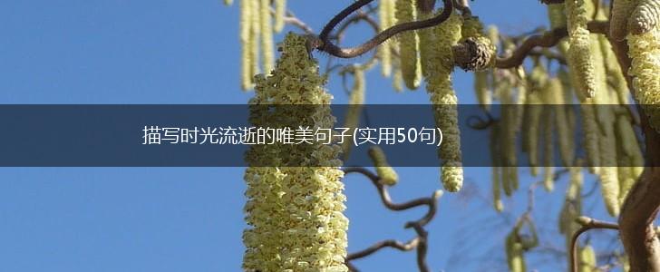 描写时光流逝的唯美句子(实用50句),第1张
