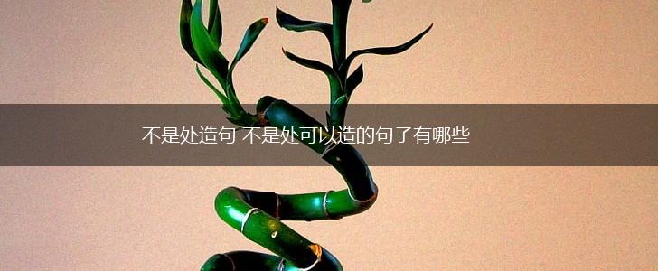 不是处造句 不是处可以造的句子有哪些,第1张