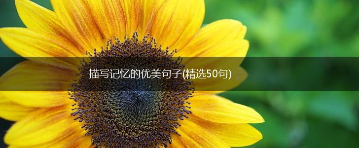 描写记忆的优美句子(精选50句),第1张