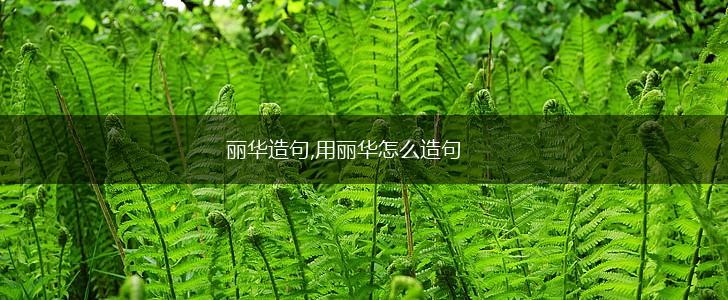 丽华造句,用丽华怎么造句,第1张