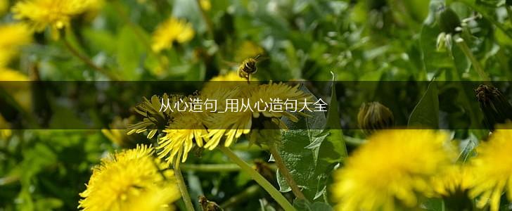 从心造句_用从心造句大全,第1张 从心造句_用从心造句大全,第1张