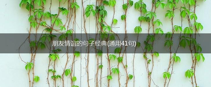 朋友情谊的句子经典(通用41句),第1张
