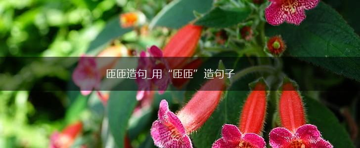 匝匝造句_用“匝匝”造句子,第1张 匝匝造句_用“匝匝”造句子,第1张